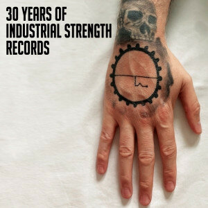 VARIOUS - 30 YEARS OF INDUSTRIAL STRENGHT RECORDS (2x12&quot;)