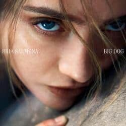 BRIA SALMENA - BIG DOG (LP)