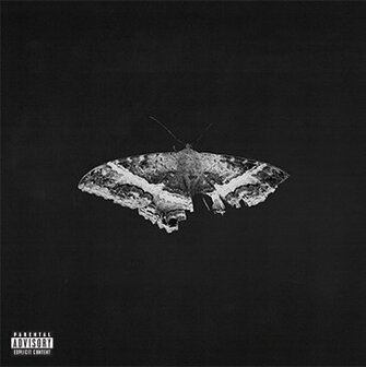 KENDRICK LAMAR - TO PUMP A BUTTERFLY  (10TH ANNIVERSARY) (2LP)