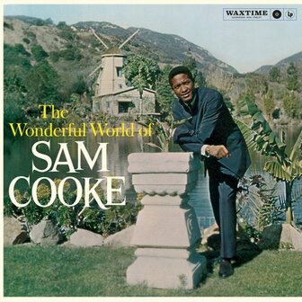 SAM COOKE - THE WONDERFUL WORLD OF SAM COOKE (LP)