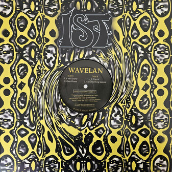 WAVELAN - IT WILL STAND (12&quot;)