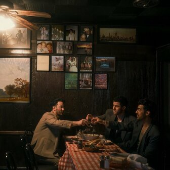JONAS BROTHERS - GREETINGS FROM YOUR HOMETOWN (LP)