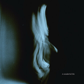 TOM ODELL - A WONDERFUL LIFE (LP)