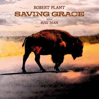 ROBERT PLANT - SAVING GRACE (LP)