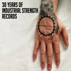 VARIOUS - 30 YEARS OF INDUSTRIAL STRENGHT RECORDS (2x12")