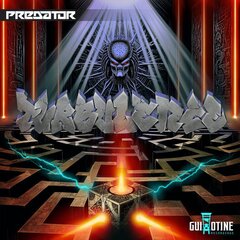 PREDATOR - TURBULENCE (12")