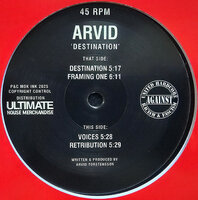 ARVID - DESTINATION (12")